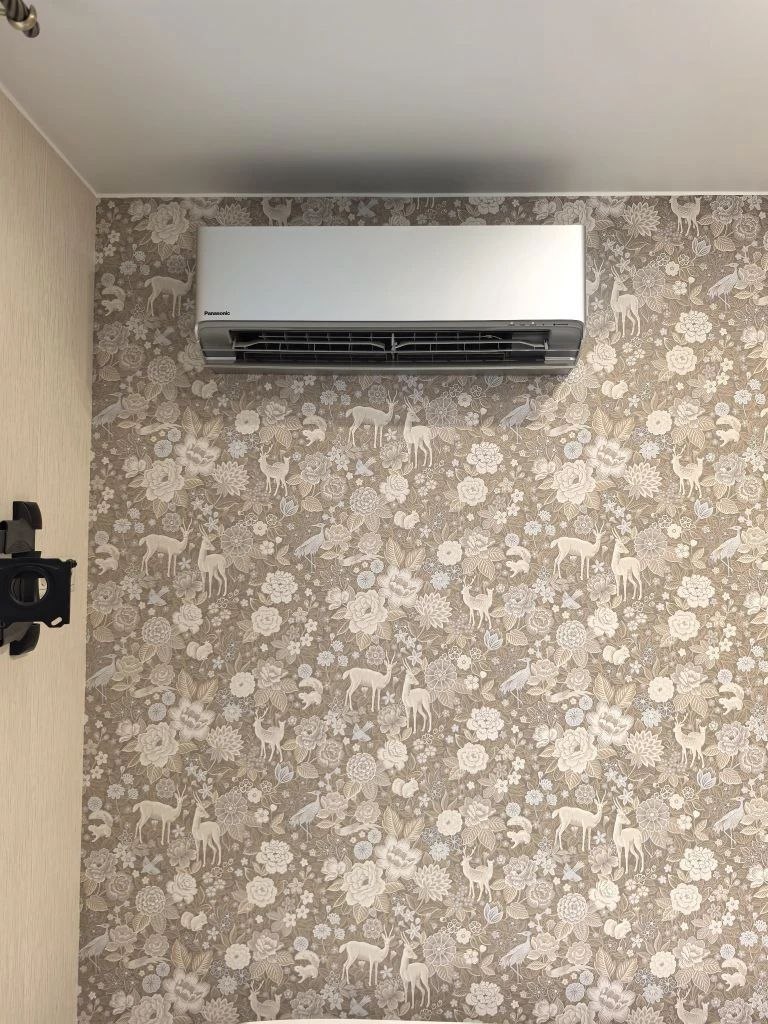 Panasonic Design silver Z